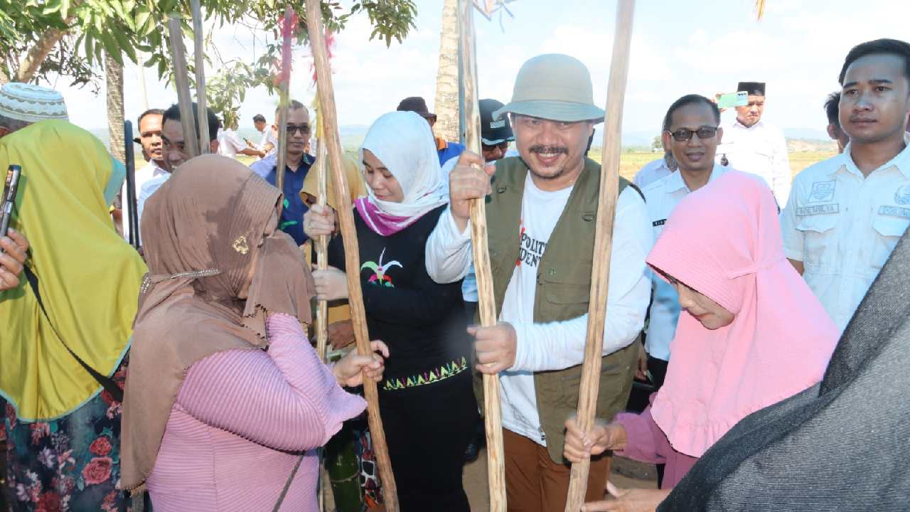 Pemda Kolaka Timur Panen Raya Padi dalam Pemenuhan Kebutuhan Pangan