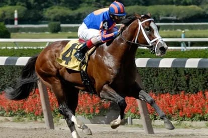 6 Hewan Peliharaan Termahal di Dunia, Capai Rp 200 Miliar