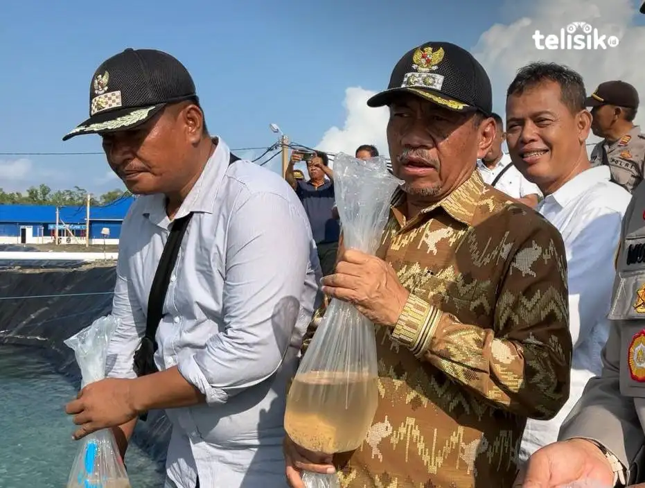 Plt Bupati Muna Tabur 183.750 Ekor Benur Udang Vaname, Target Panen 4 Bulan