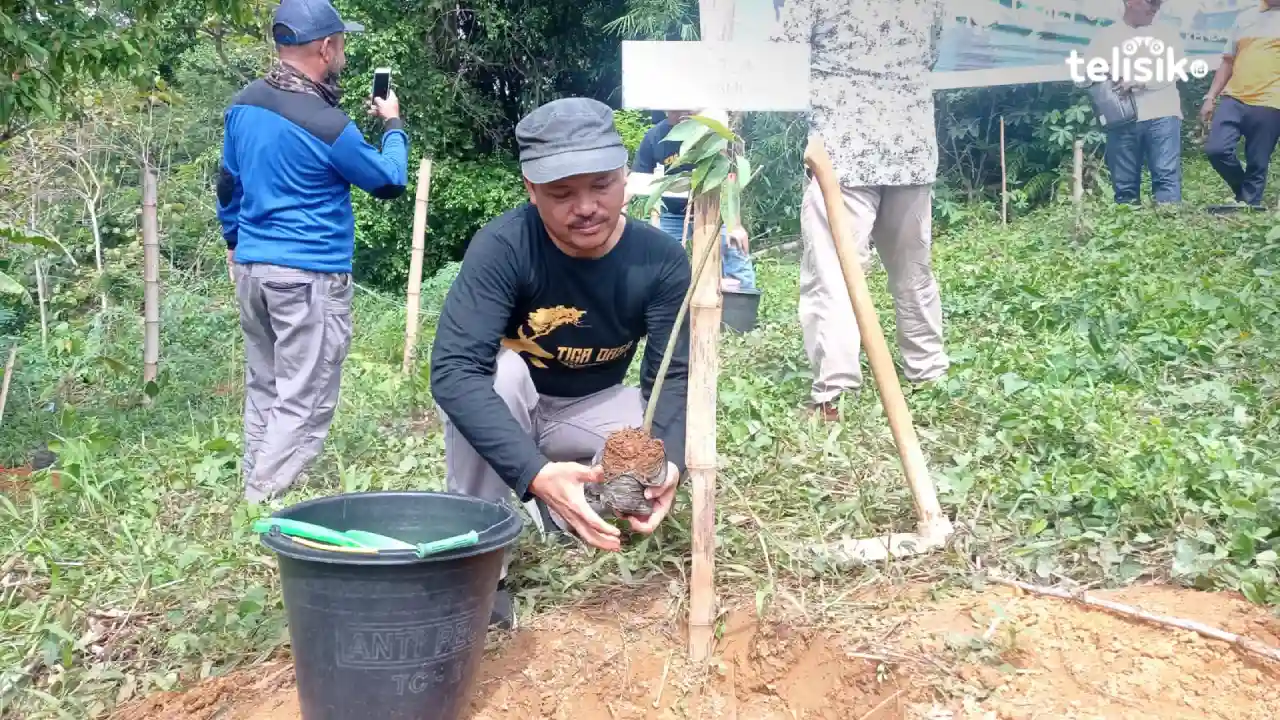 Lahan Kritis Terluas di Sulawesi Tenggara ada di Kabupaten Muna