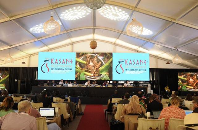 Minuman Tradisional Indonesia Ini Masuk Daftar UNESCO