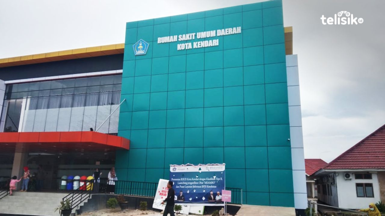 Kota Kendari Jadi Penderita DBD Tertinggi se-Sulawesi Tenggara, Capai 195 Kasus