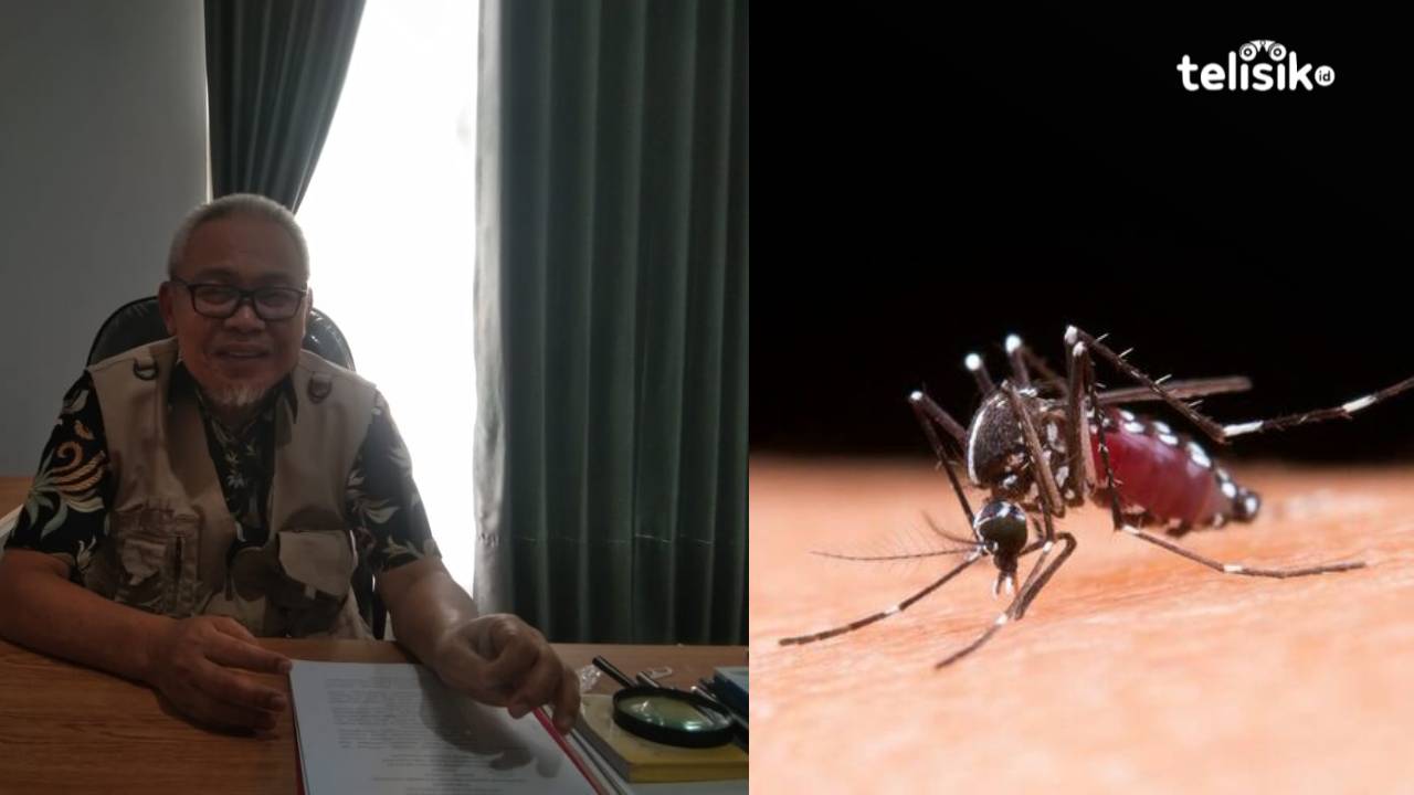 Sukses Tekan Kasus DBD, Masyarakat Diimbau Dukung Inovasi Nyamuk Wolbachia di Sulawesi Tenggara