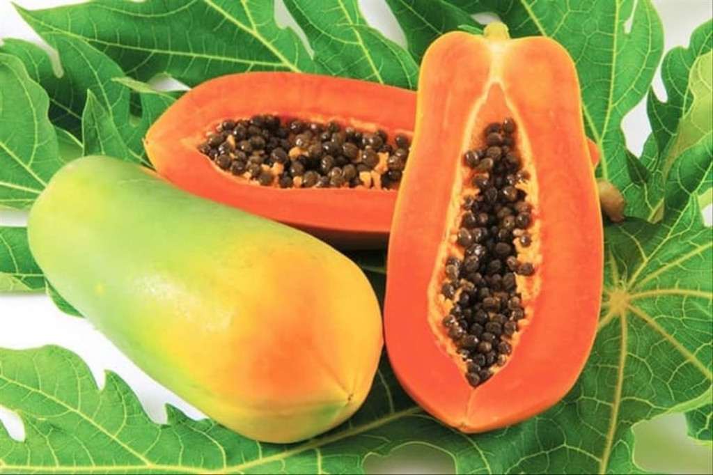 Keajaiban Buah Pepaya California: Kaya Manfaat dan Kecanggihan Kesehatan