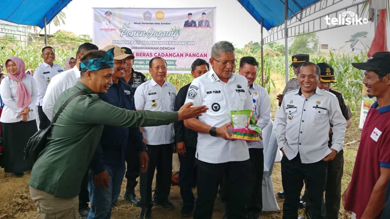 Pj Wali Kota Minta Lurah Data Semua Potensi Lahan Tidur se-Kota Kendari