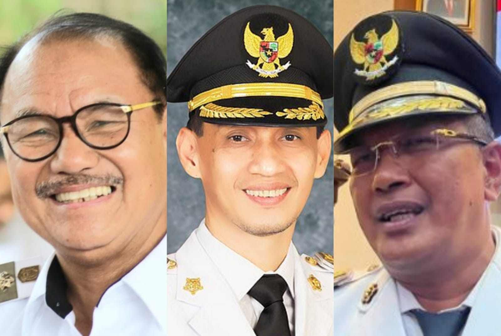 Update Harta Kepala Daerah Terkaya di Sulawesi Tenggara, Ada yang Punya 42 Tanah dan Bangunan