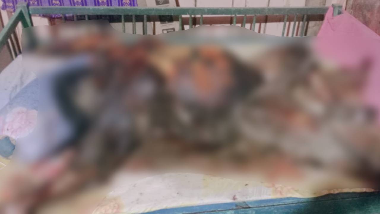 Wanita di Bombana Ditemukan Tewas Membusuk dan Penuh Belatung