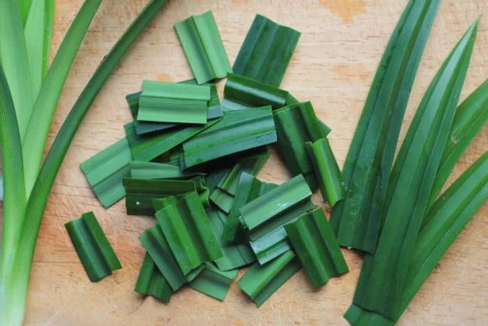 Pewarna Makanan Alami Ini Aman Dikonsumsi