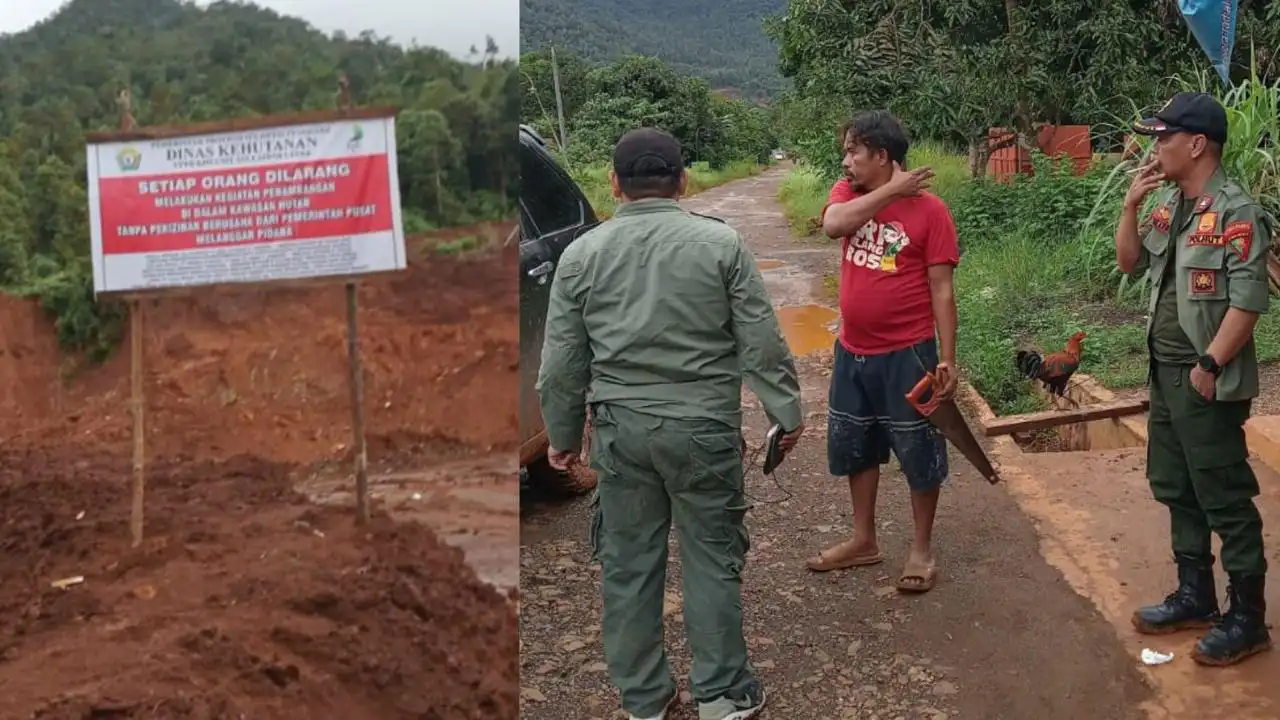 Dishut Sultra Temukan Bekas Tambang di Hutan Produksi Konut, Pelaku Masih Diselidiki