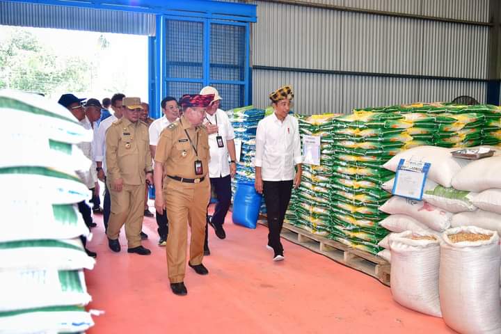Jokowi Perintahkan Bulog Beli Jagung Petani Muna