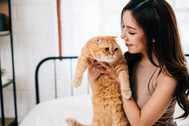 Pelihara Kucing Bisa Turunkan Resiko Stres dan Hilangkan Kesepian