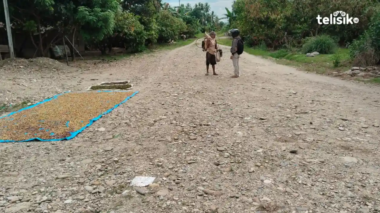 Pemkab Kolaka Utara Gelontorkan Anggaran Rp 28 Miliar Aspal Jalan 11 Kilometer