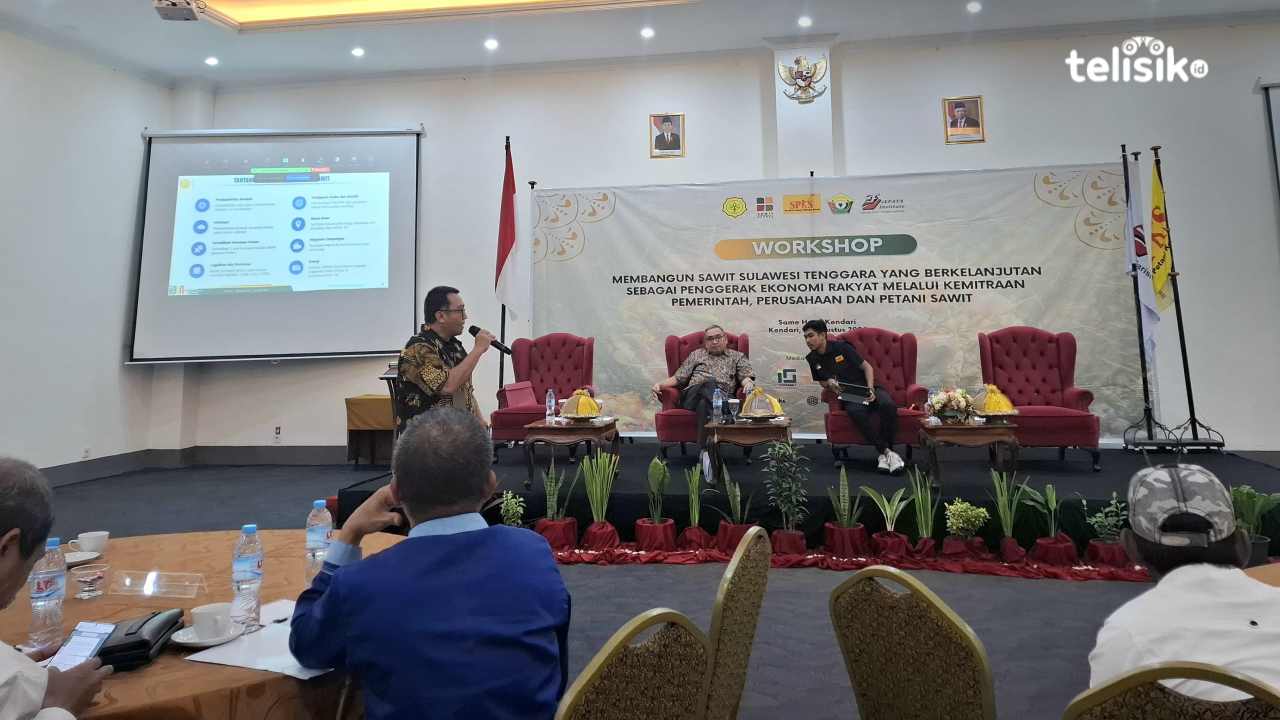 Sulawesi Tenggara Terbesar Ketiga Areal Perkebunan Sawit di Tujuh Kabupaten