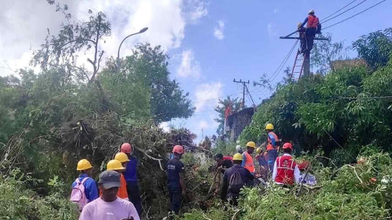Pohon Asam Raksasa Tumbang Padamkan Aliran Listrik dan Tutup Akses Jalan Kota Baubau