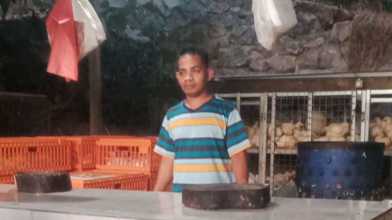 Tekuni Bisnis Ayam Potong, Pelaku UMKM Kendari Ini Sukses di Tengah Persaingan Ketat