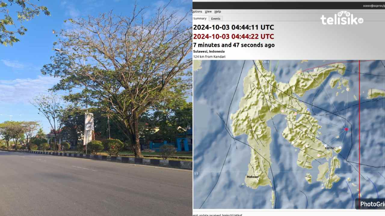 Gempa Bumi M3,4 Guncang Timur Laut Wawonii di Kedalaman 10 Km