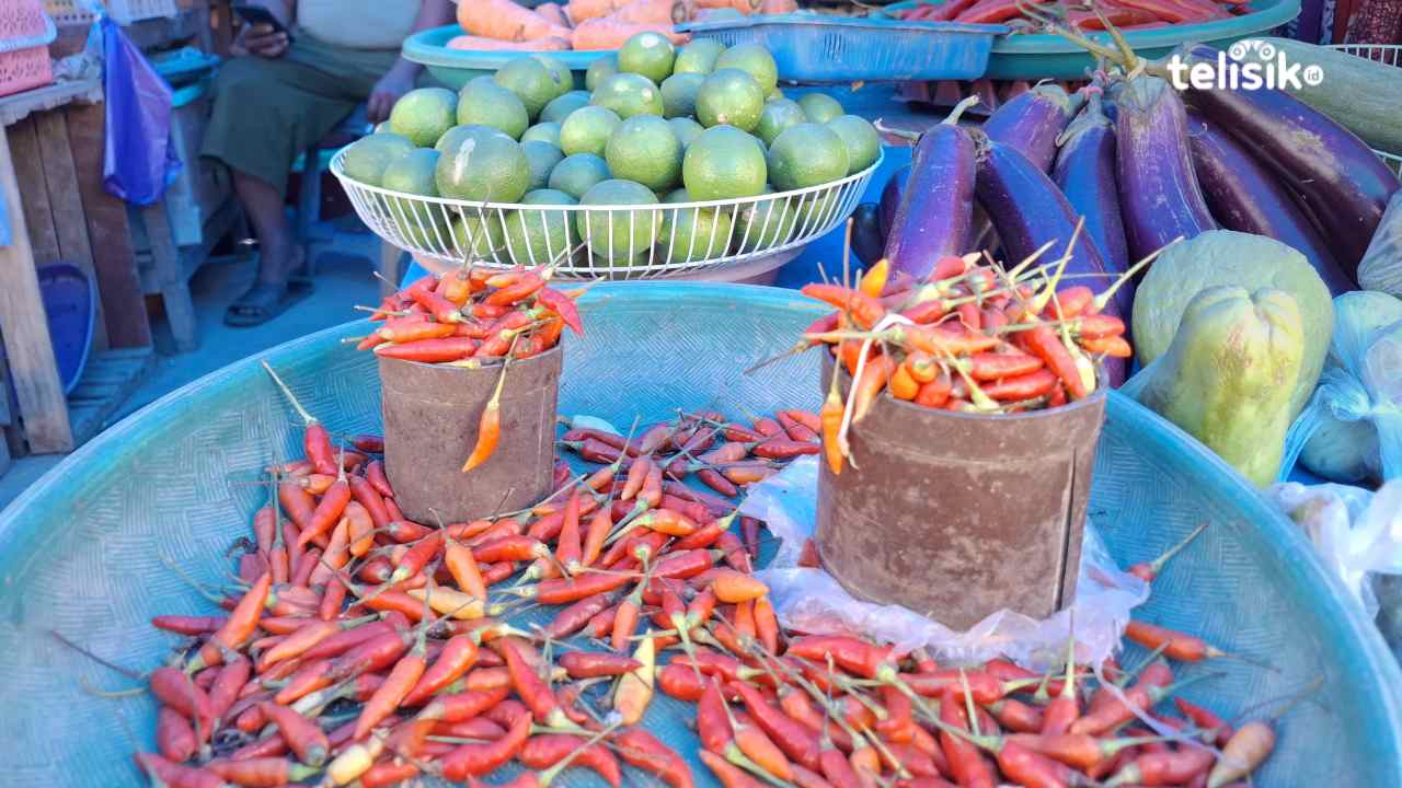 Harga Cabai Rawit di Kendari Melonjak hingga Rp 70 Ribu/kg Akibat Kemarau