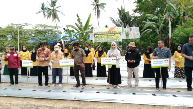 Pj Bupati Konawe Apresiasi Kampung Organik di Kelurahan Asinua