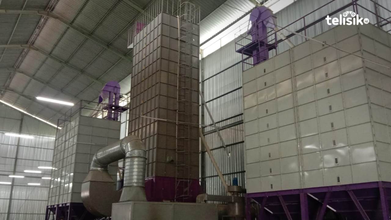 Pabrik Jagung Dipermasalahkan di Debat Paslon Bupati - Wakil Bupati, Begini Penjelasan Kadis TPHP Muna