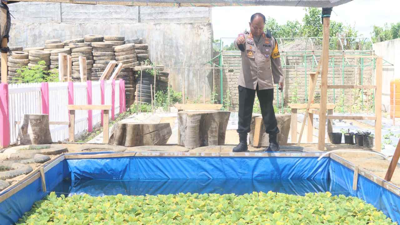 Polres Muna Dukung Swasembada Pangan dengan Lahan Pekarangan Pangan Lestari