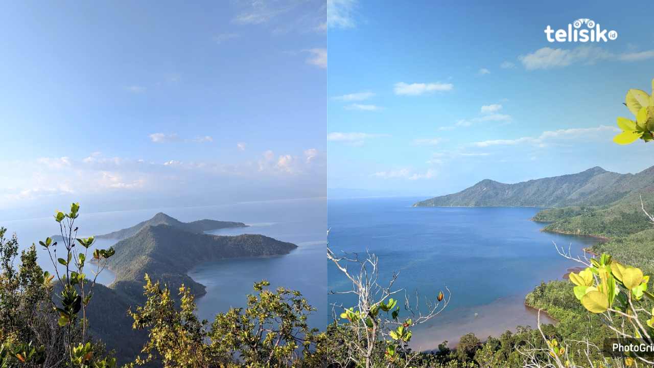 Puncak Padamarang Kolaka: Pulau Tak Berpenghuni Tawarkan Keindahan Alami yang Spektakuler