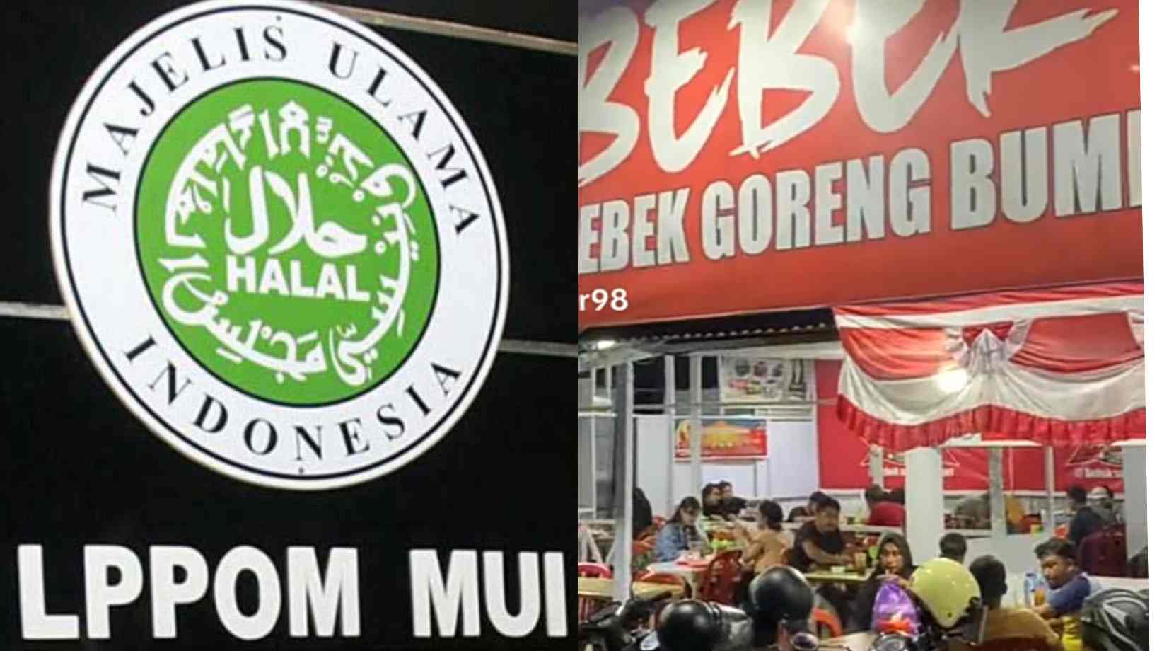 Bebek Sakti Kendari Tak Miliki Sertifikasi Halal dari LPPOM MUI Sulawesi Tenggara