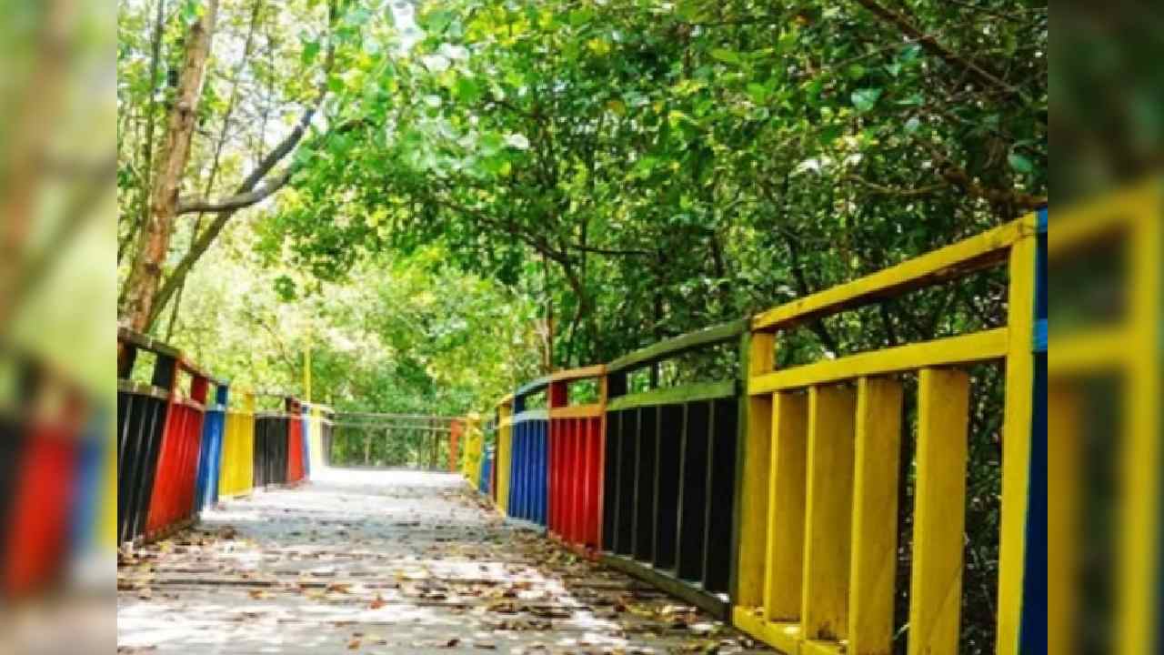 Hutan Mangrove Bungkutoko: Pesona Wisata Alami di Kendari dengan Fasilitas Modern