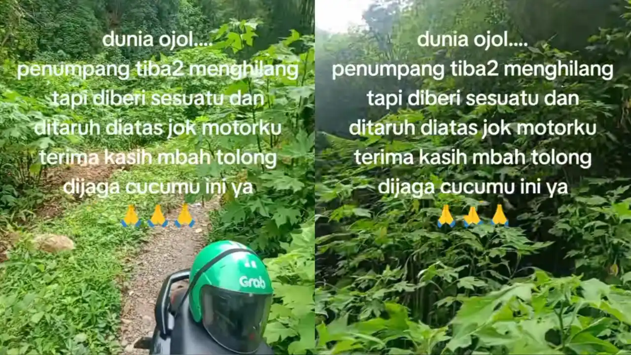 Viral, Ojol Antar Penumpang di Hutan Mendadak Hilang dan Tinggalkan Benda Misterius
