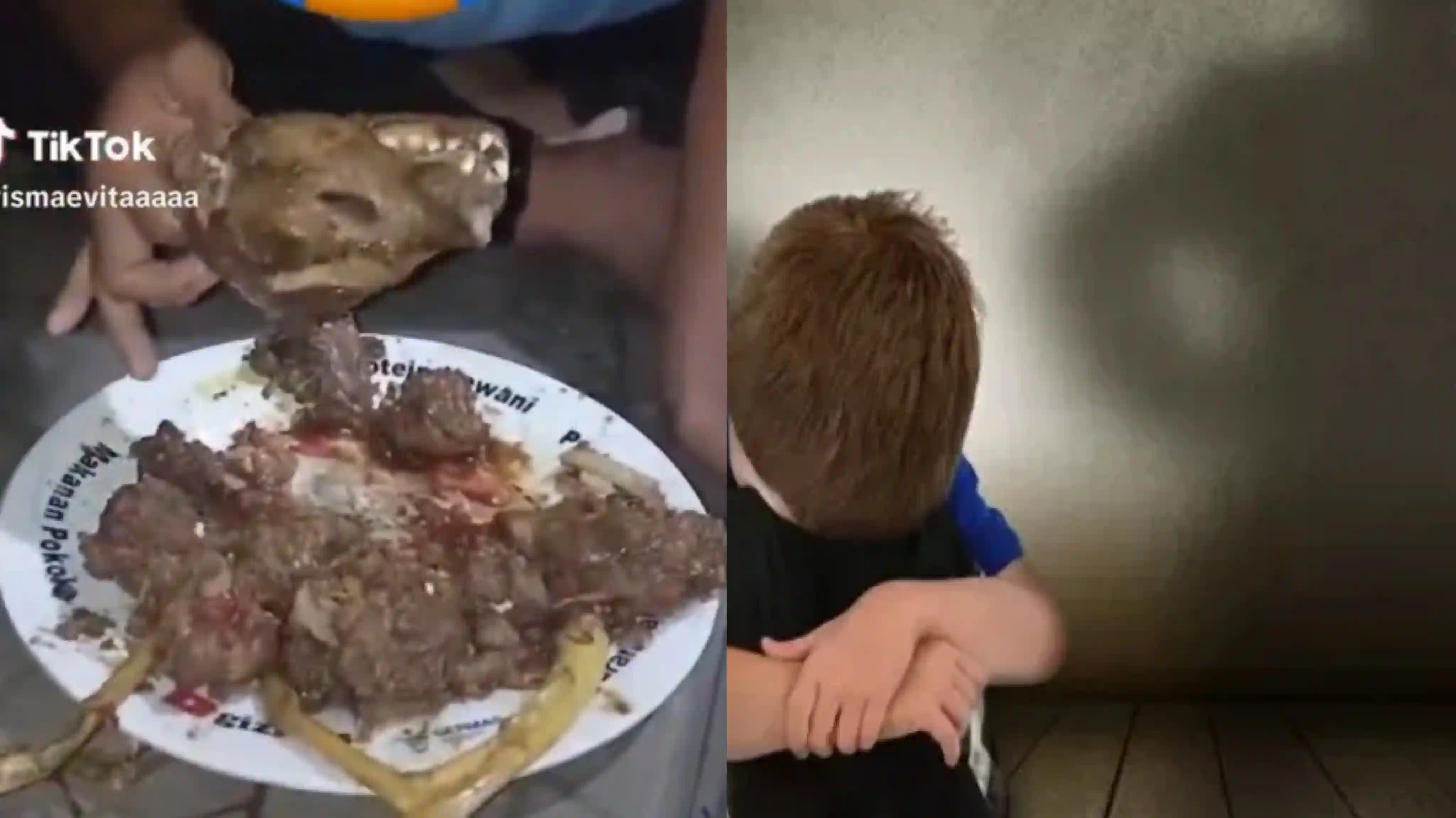 Viral Video Anak Berkebutuhan Khusus Dipaksa Makan Daging Musang
