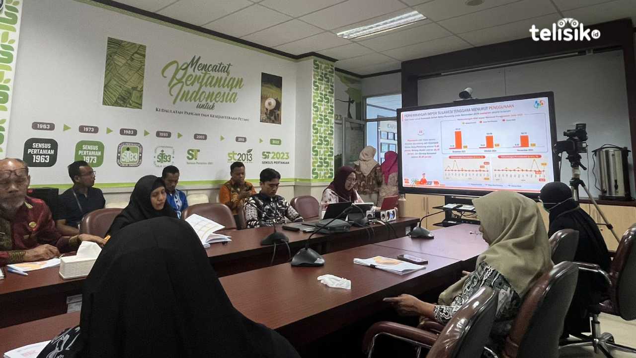 Ekspor Sulawesi Tenggara Naik Pesat November 2024, Tiongkok Tujuan Terbesar