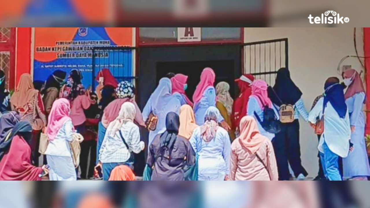 Pendaftaran Seleksi PPPK Muna Gelombang II Diperpanjang hingga 15 Januari