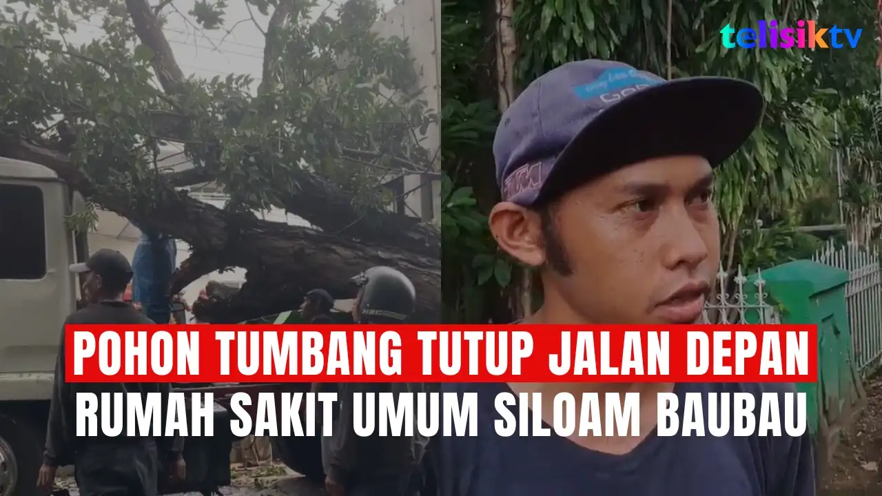 TELISIKTV: Pohon Tumbang Tutup Jalan Depan Rumah Sakit Umum Siloam Baubau