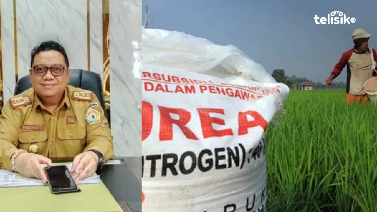 Alokasi Pupuk Bersubsidi di Sultra Naik, Petani Didorong Segera Menanam