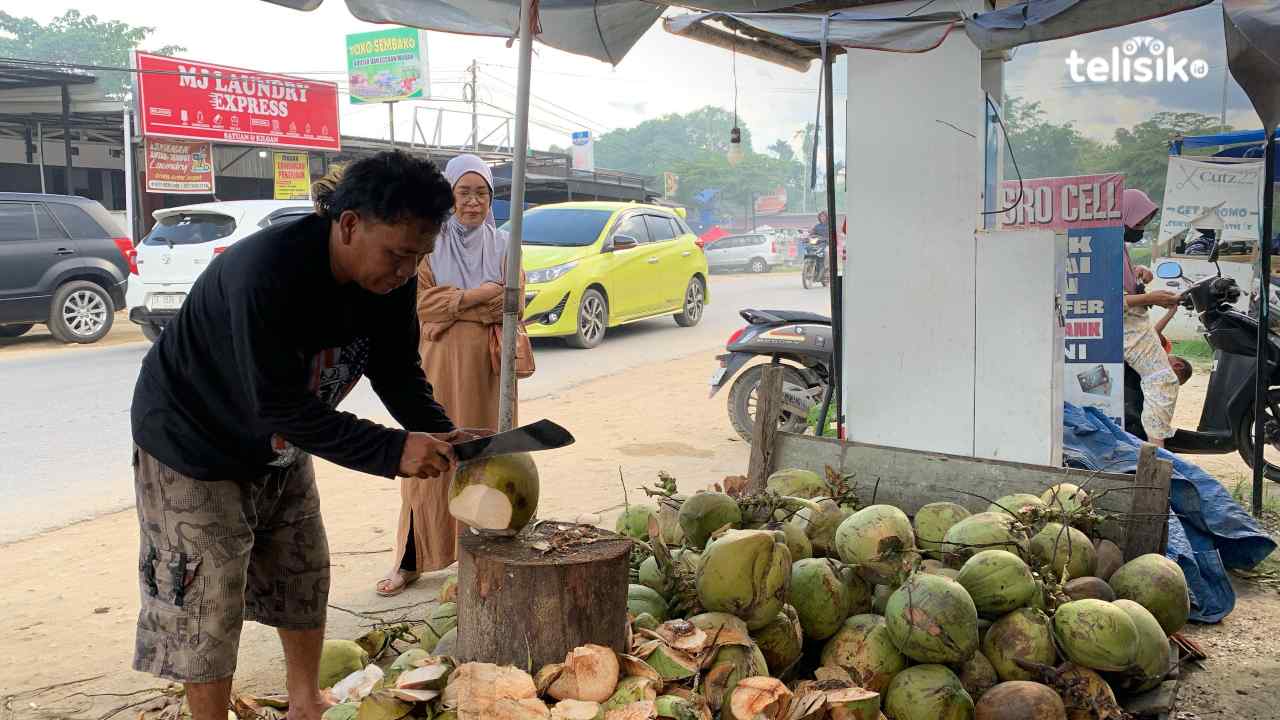 Penjualan Kelapa Muda Naik Drastis Hari Pertama Puasa di Kendari