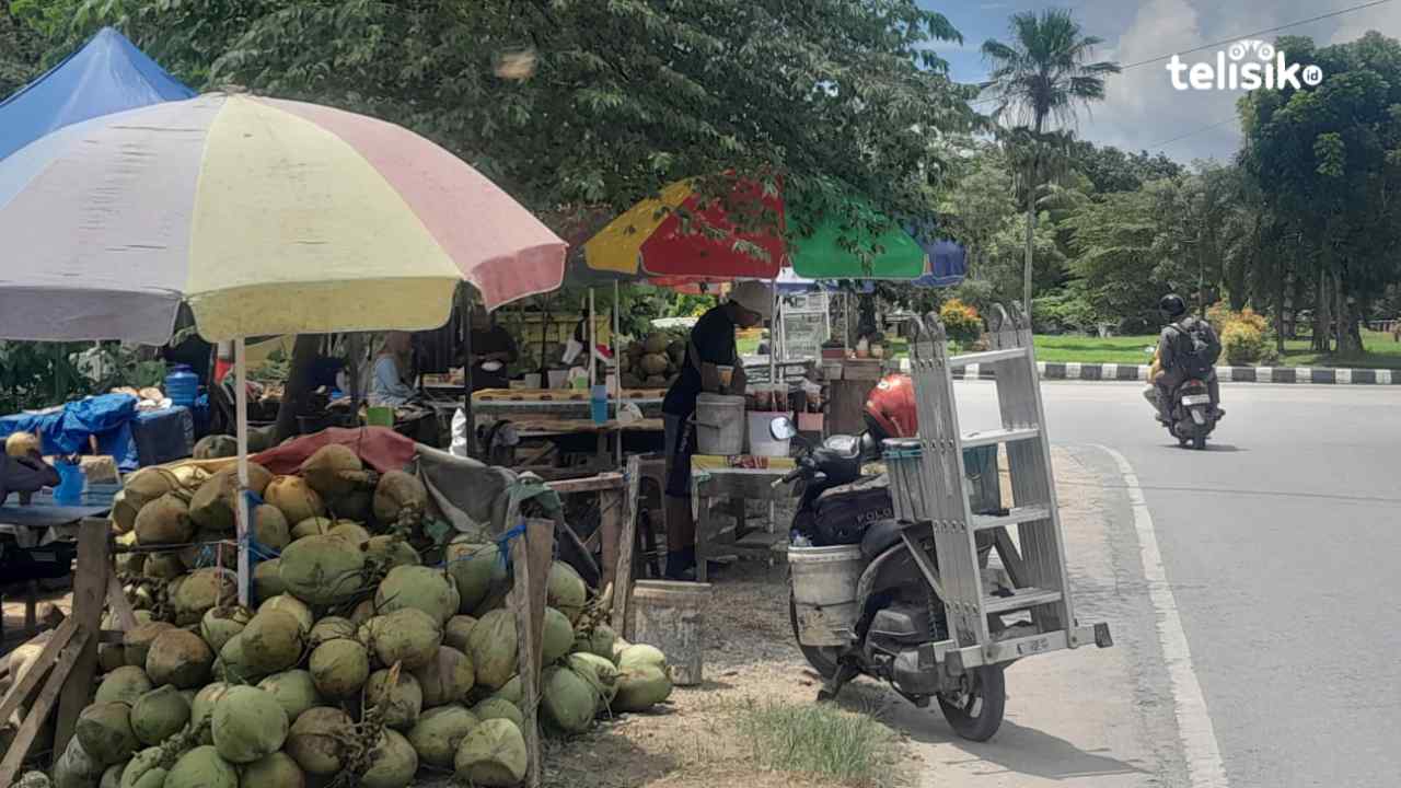 Pedagang Kelapa Muda di Bundaran Kantor Gubernur Sultra Bertahan Meski Sepi Pembeli