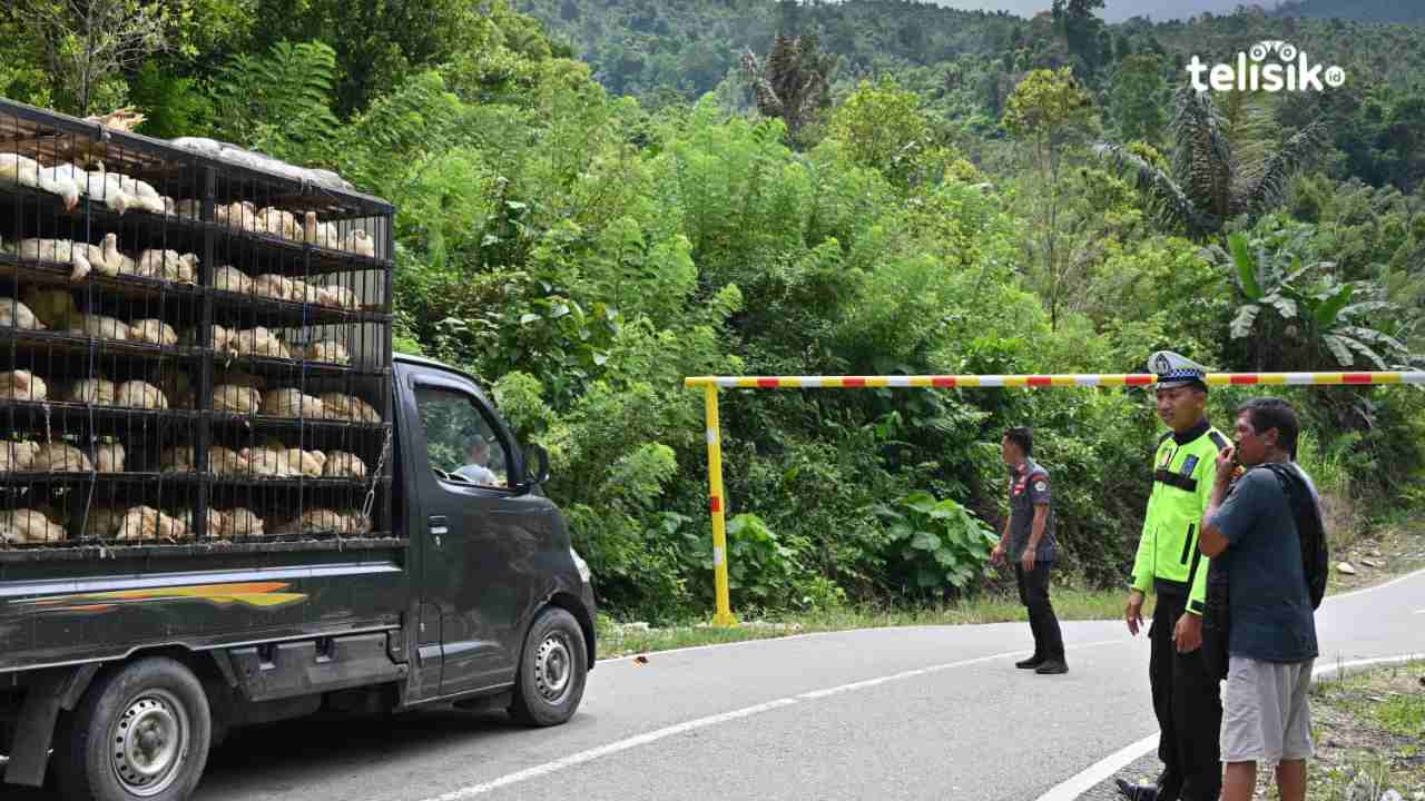 Dishub Tuding Kendaraan Overload Perparah Kerusakan Jalan Totallang-Latawaro Kolaka Utara