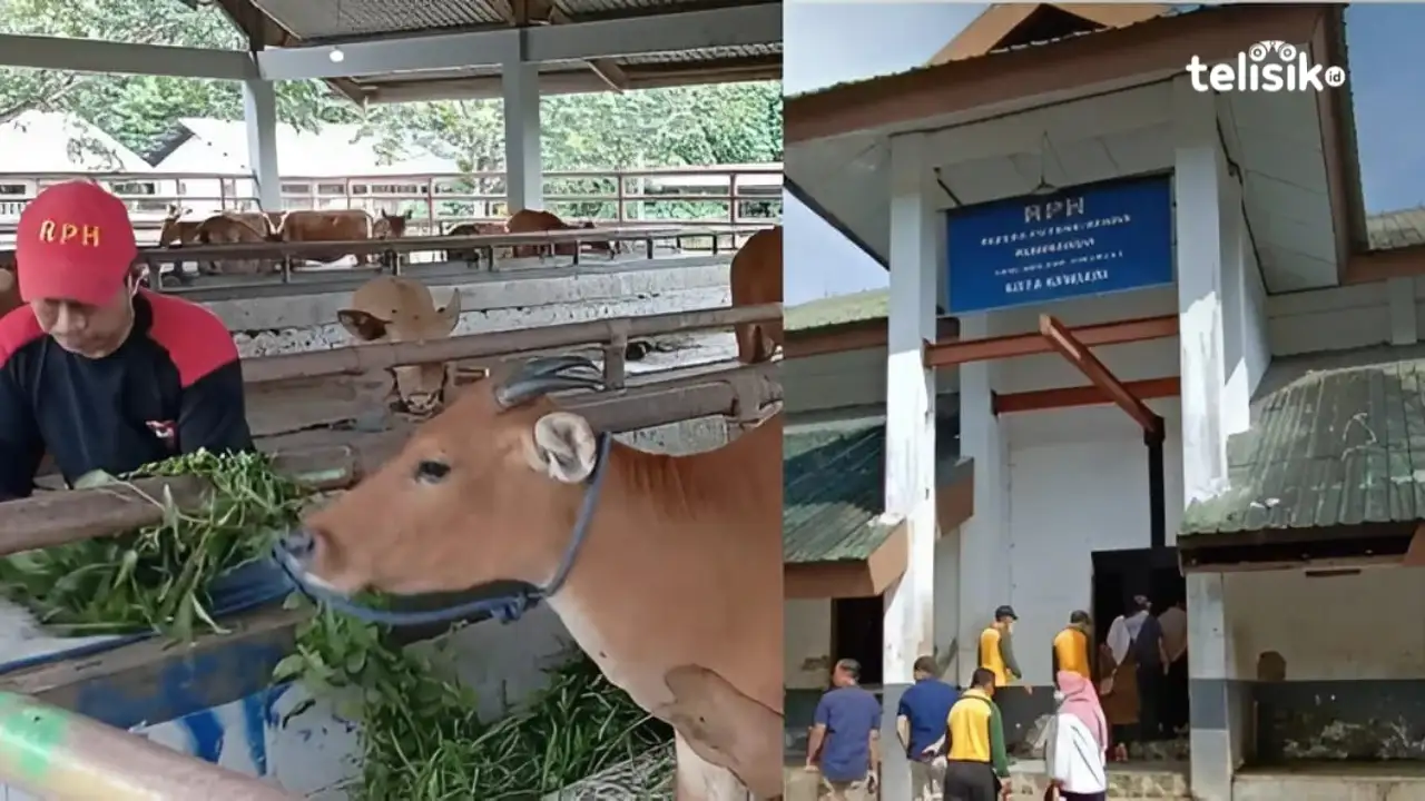 Waspadai Penyakit Hewan Kurban, RPH Kendari Perketat Pemeriksaan Kesehatan