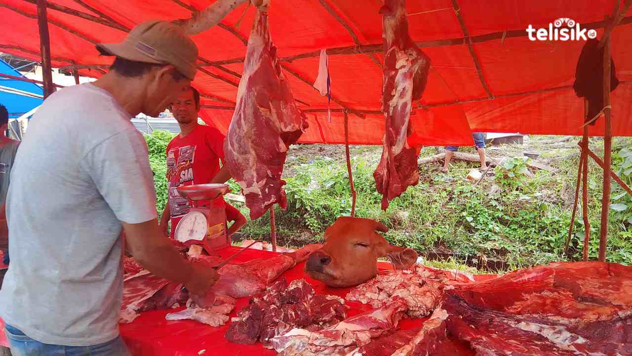 Pasokan Seret, Harga Daging dan Tulang Sapi di Kendari Naik Tajam Jelang Idul Adha 2025