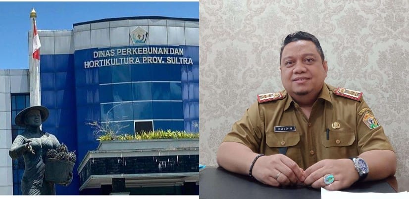 Profil La Ode Muhammad Rusdin Jaya: Berawal Staf di Pemkab Muna jadi Nahkoda Dinas Perkebunan dan Hortikultura Sultra