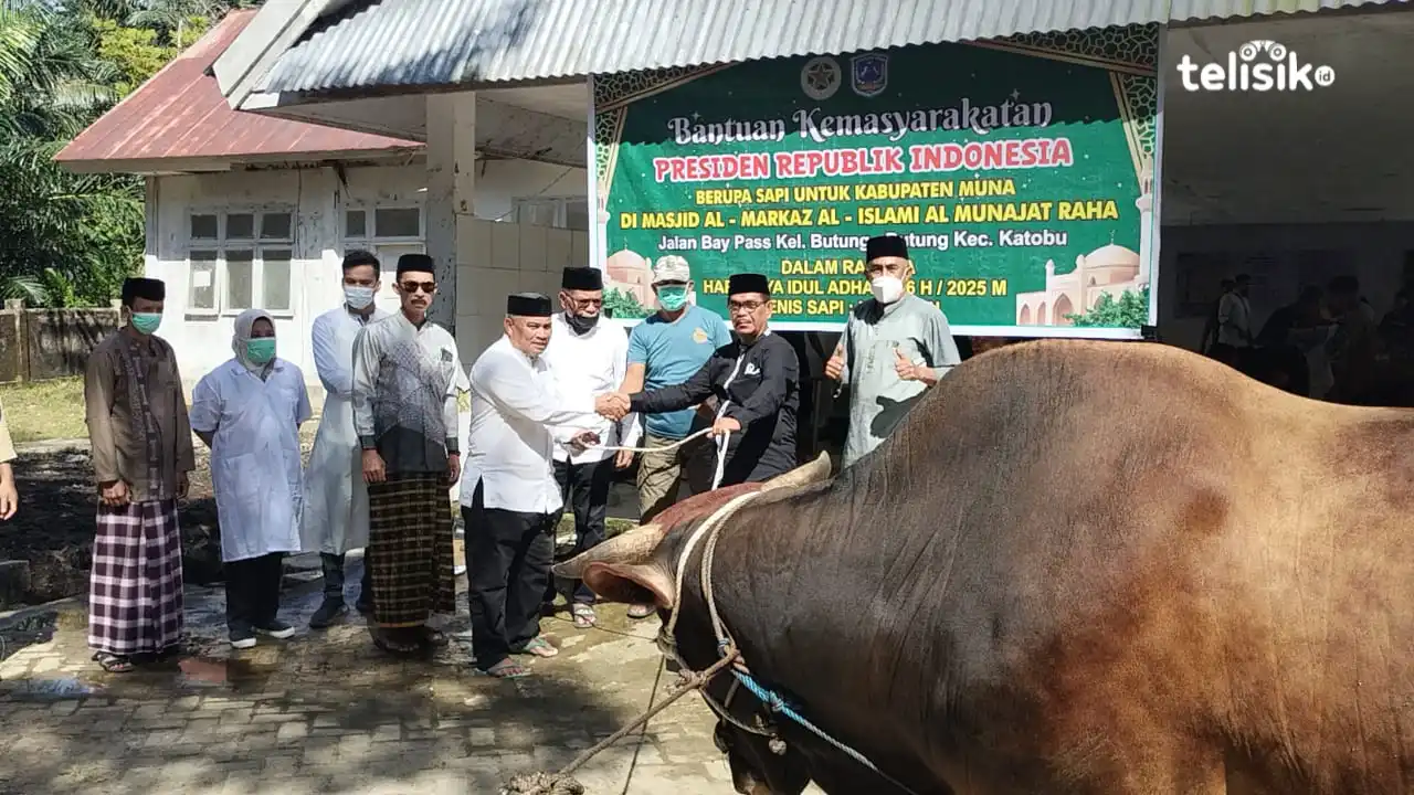 Sapi Kurban Presiden Prabowo di Muna Disembelih, Wabup Minta Diserahkan ke Warga Membutuhkan
