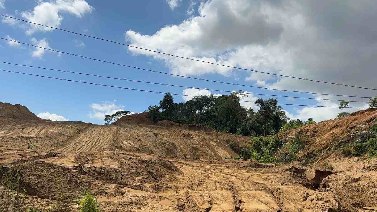 Aktivis Lingkungan Kecam Pembukaan Lahan di Kendari Tanpa Izin, DLHK Siapkan Sanksi