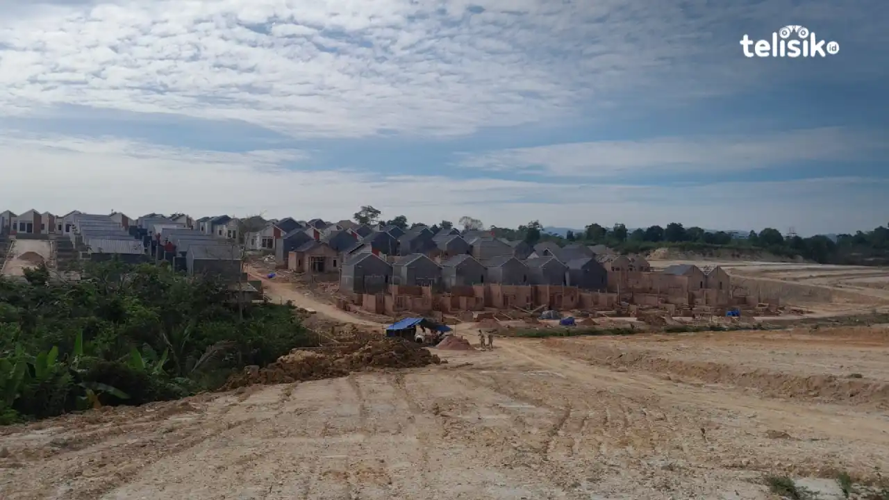 Kendari Terancam jadi Kota Sejuta BTN, Walhi Sulawesi Tenggara Ingatkan Bahaya Lingkungan