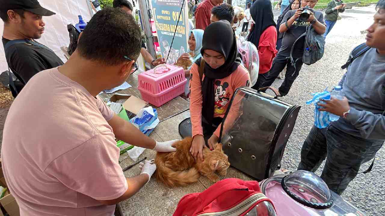 Pet Festival 2025 di Kendari, Ajang Seru Pecinta Hewan dari Berbagai Daerah