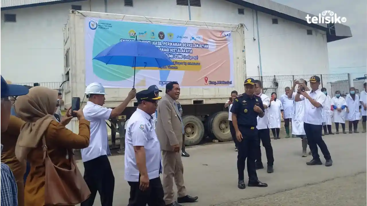 Ekspor Cumi-Cumi Asal Sulawesi Tenggara Tujuan Vietnam Resmi Diluncurkan