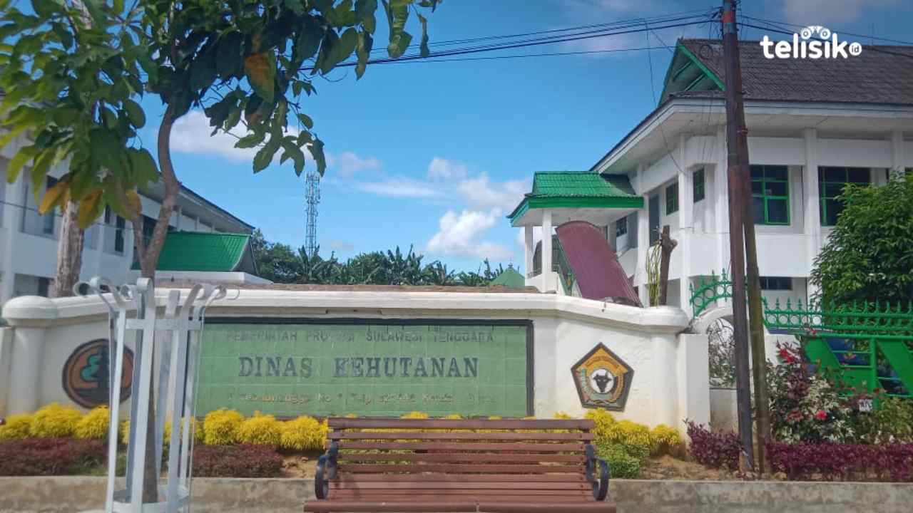 Kejaksaan Geledah Kantor Dinas Kehutanan Provinsi Sulawesi Tenggara
