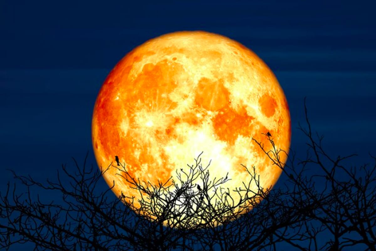 Langit Indonesia Diterangi Supermoon Terbesar 2025, Cahayanya Bisa Bikin Malam Seperti Siang