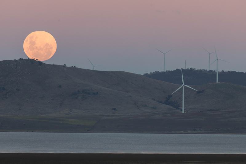 Peta Antariksa Dipatenkan, Begini Rencana Ilmuwan Tanam Sayur di Bulan dan Mars