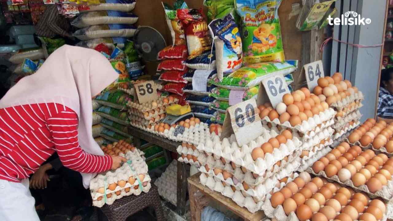 Jelang Nataru Harga Telur di Baubau Naik Drastis