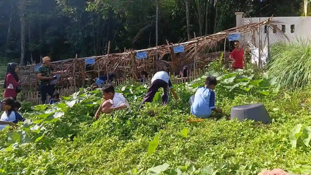 Siswa SDN Lagole Wakatobi Berkebun Sawi