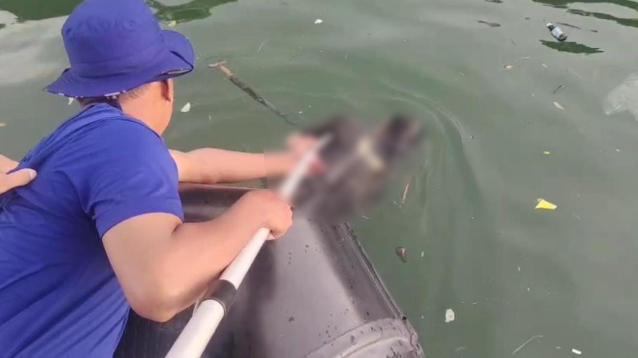 Pemancing Meninggal Terseret Arus Deras di Perairan Bungkutoko Konawe Selatan